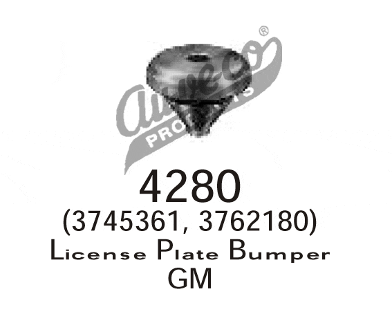 Bumper License Plate